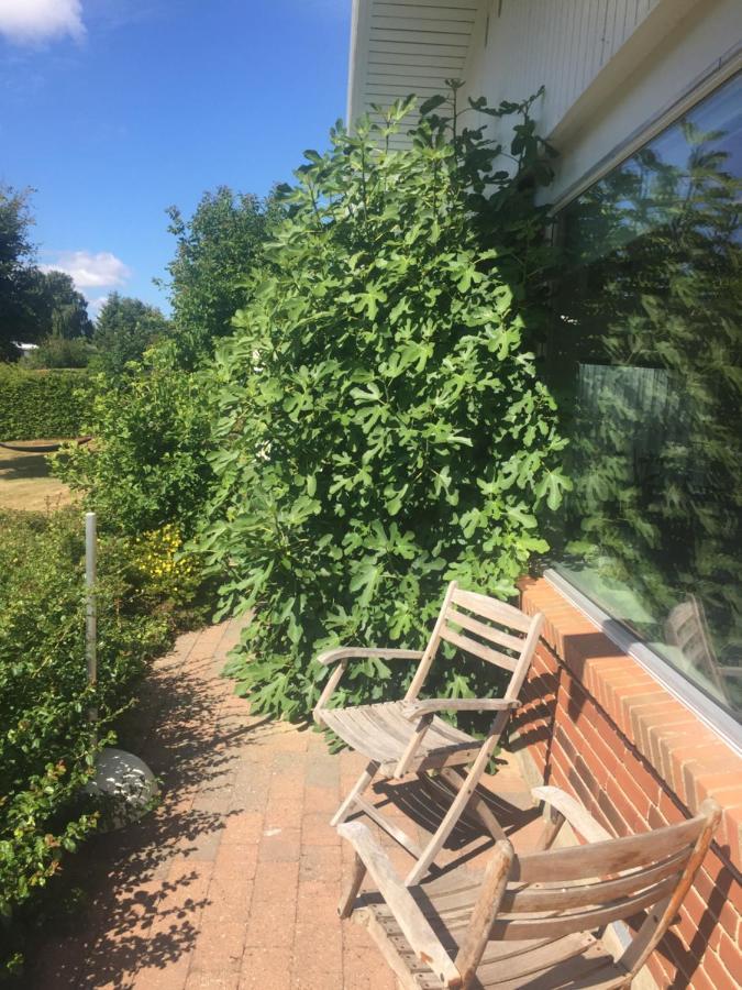 Vaerelse Med Udsigt Over Limfjorden - Rolige Omgivelser Og Adgang Til Flot Have Nykobing Mors Luaran gambar